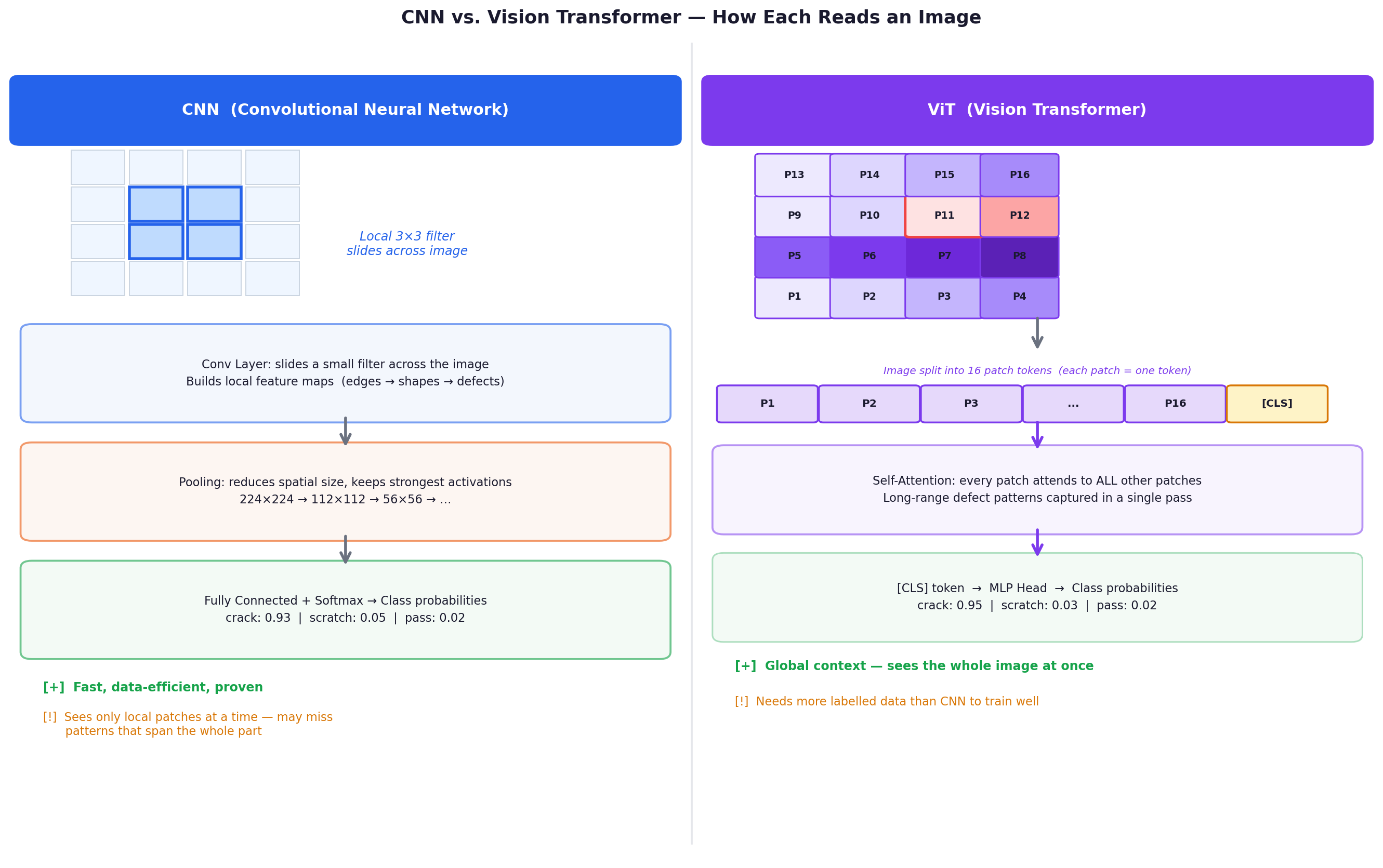 CNN vs Vision Transformer — side by side comparison of how each reads an image