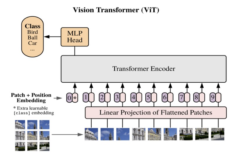 Vision Transformer detail — patch tokenisation to classification